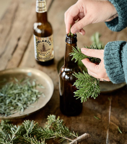 Lowlander Winter IPA met sparrennaalden